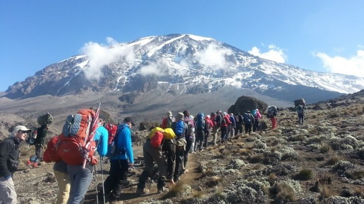 Marangu Route